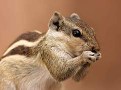 독고 휘연 / 여성 / 1학년 / 양궁부