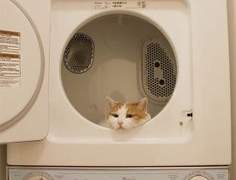 (찐조회수인증) #06. 알고리즘 비밀 이게 다임. 유튜브, 인스타, 블로그 다 통함. 내가 키웠으니까.