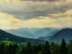 [청명소병] 도주자의 말로