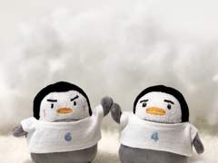 펭오! 펭힝! 크로쓰!