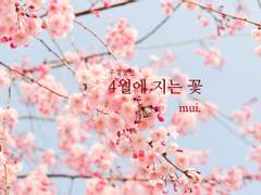 (재업) [우성명헌] 4월에 지는(피는) 꽃