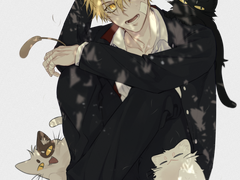 미카즈키 호타루