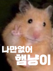 나만없어 햄냥이 