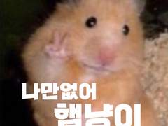 나만없어 햄냥이 01