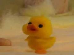 중사님 민간인여자친구