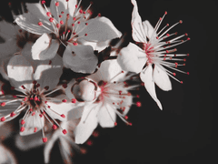 제목미정 / 선협 로맨스 / 07