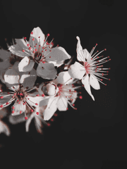 미정의 작품들 [ 정리중 ] 