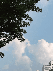 슈의 커미션 모음