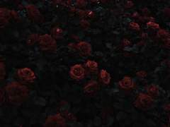 いつも君を待ってるよ。