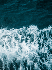 [인소의 법칙] 동양AU