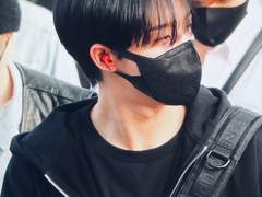 센티넬물… 이었던 것