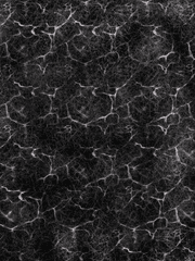 개똥밭에 굴러도 이승이 낫다