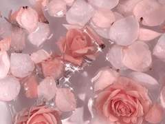 染 [염; 물들다]