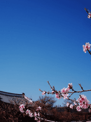 주술회전 조각글 모음집