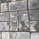 살고는 싶은데 어떻게 살아야 할지 모르겠습니다