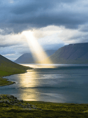 드림주들끼리의 썰