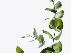 그 후 그 끝_외전(심양) - 下