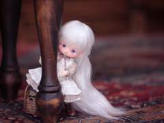 #루나하로 미니푸딩2번