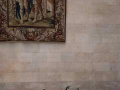 Bdsm 철학적 고찰 0, 1