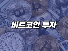 비트코인투자 수익률은 높지만 비중은 적게