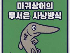 마귀상어의 무서운 사냥방식