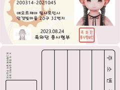 파판 주민등록증