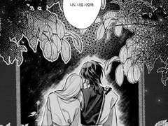 삼월의 비, 칠월의 별