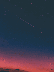 뱀파이어와의 동거