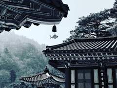 당가에서 가장 외로운 여인