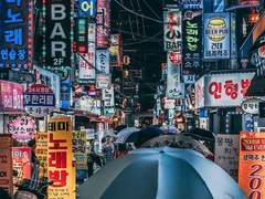 해방과 안정 사이 (1)