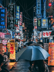 해방과 안정 사이