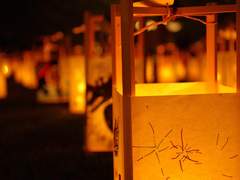 05_都心の中 まつり