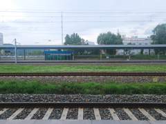 ✨️23. 7월 대운~8월 통합온