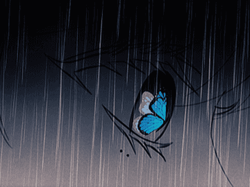 나비 한 마리가 죽었다.