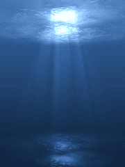 [엋문큰/큰문엋] 인어 series