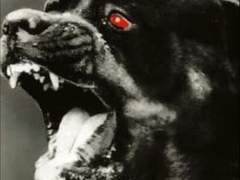 H119) 그레타 (Play Dead, 1983)