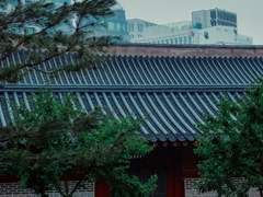 비오는 날의 덕수궁