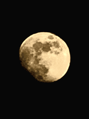 저 별의 너머로