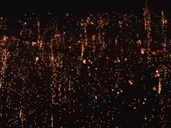 낙화(落花) - 上