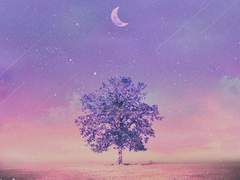 학원쌤 앨버트 크루거