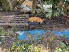 하루를 상큼하게 시작해볼까