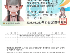 파판 초코보 탑승면허증