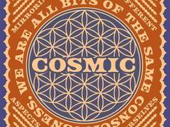 트위터 흐트레 백업