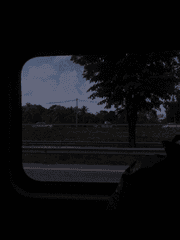 그들로부터 살아남는 방법