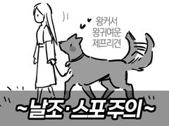 샬다제 일본판 단행본 1권 후기 만화