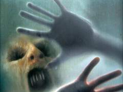 2H116) 데드 버드 (Dead Birds, 2004)