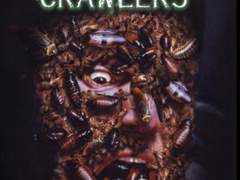 2H117) 아라크네의 비밀 2 (They Nest, 2000)