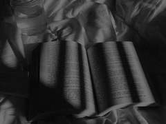 다시 시작된 시간