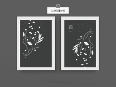 (분양됨) 7. 드라이 플라워