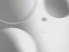 네 사랑은 트렌스퍼런시 twenty-four - 03